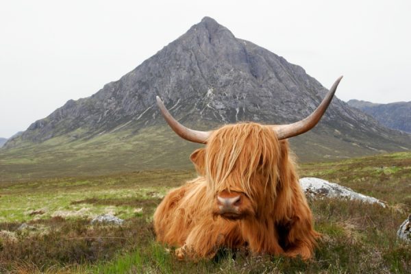 Audioguía Ruta Este de Escocia - Imagen 5