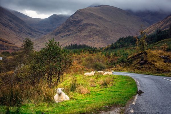 Audioguía Icónicos en el Oeste de Escocia - Imagen 2