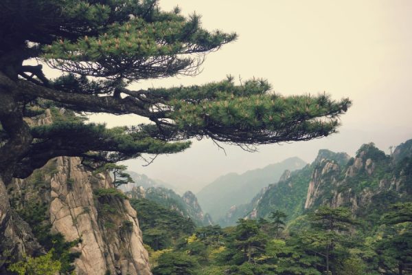 Audioguía Montañas Wuyi - Imagen 4