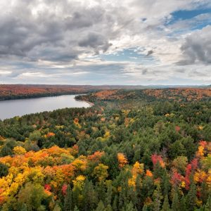 Audioguía Algonquin National Park