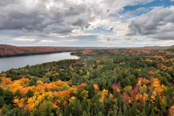 Audioguía Algonquin National Park