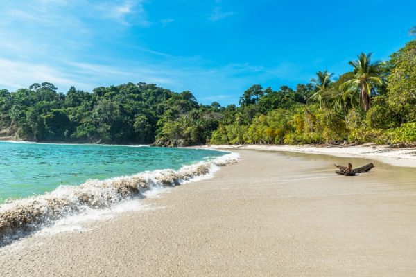 Audioguía Manuel Antonio - Imagen 3