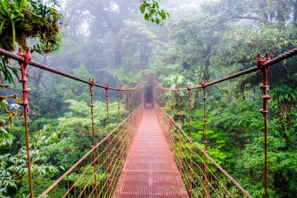 Audioguía MonteVerde - Image 3