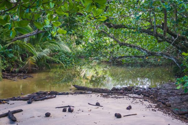Audioguía Puerto Viejo & Tortuguero - Image 5