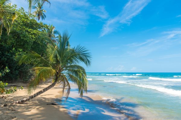 Audioguía Puerto Viejo & Tortuguero - Image 3