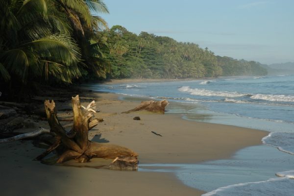 Audioguía Puerto Viejo & Tortuguero - Image 2
