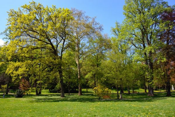 Audio guide Baden-Baden – Germany - Image 2