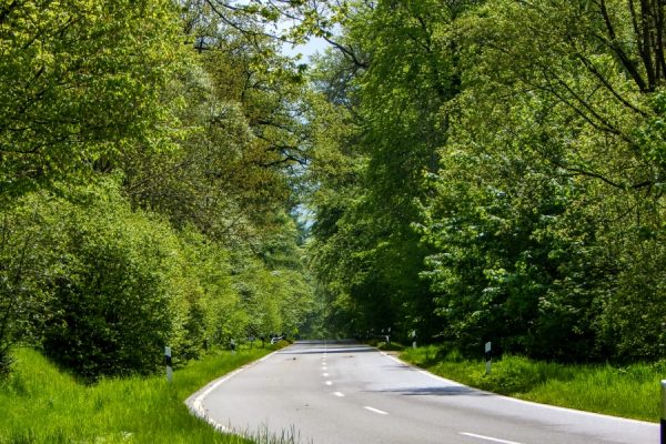 Audioguía Selva Negra Norte de Gernsbach a Núremberg - Alemania - Image 2