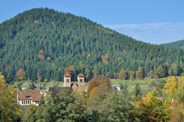 Audioguía Selva Negra Oeste de Bad Wildbad a Schiltach - Image 3