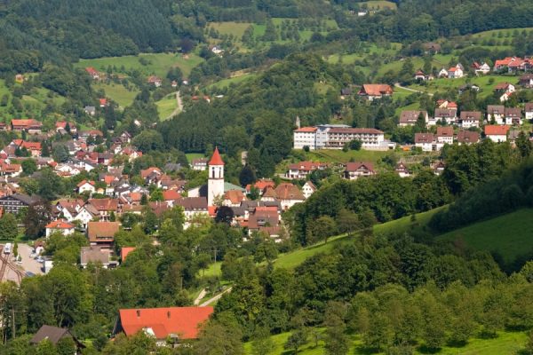 Audioguía Selva Negra Sur de Staufen a Donaueschingen - Alemania - Image 4