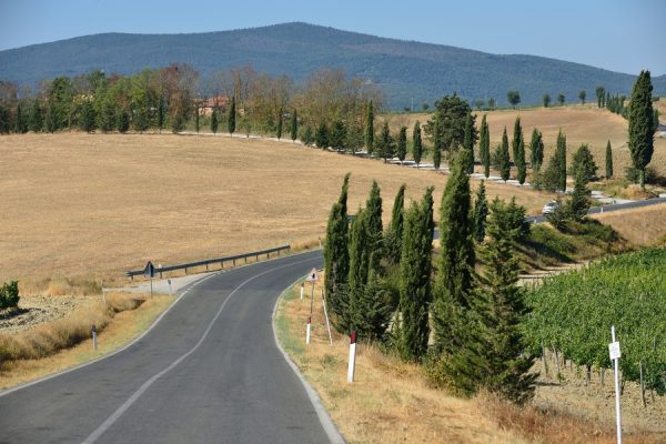 Road Trip por las Queserías en los Dolomitas - Italia - Imagen 2