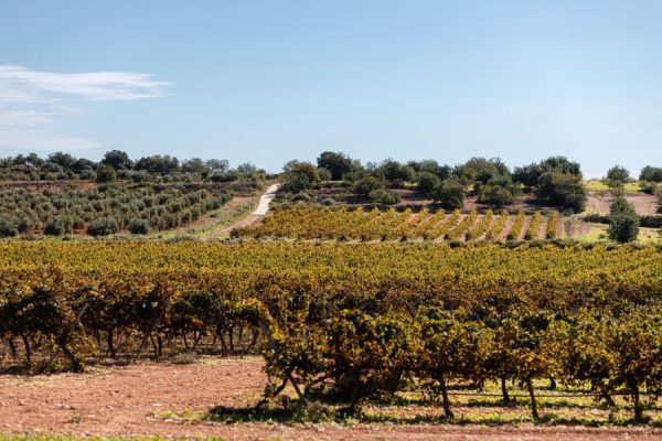 Audio tour Priorat – España