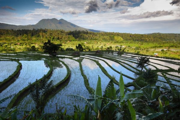 Audioguía Road Trip Bali – 4 Días - Image 2