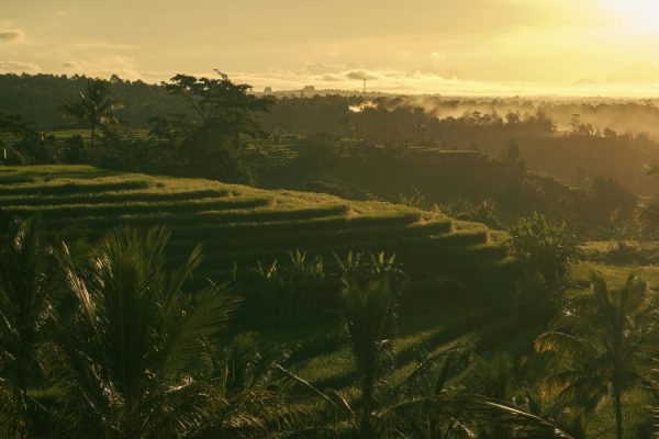 Audioguía Road Trip Bali – 5 Días - Imagen 2