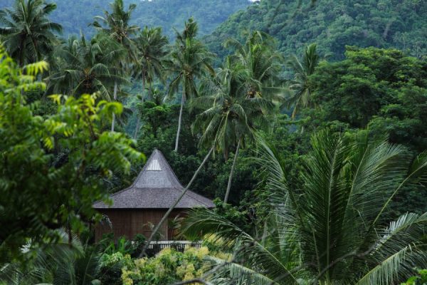 Audioguía Road Trip Bali – 5 Días