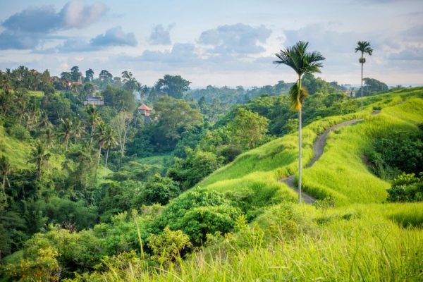 Audioguía Ubud – Indonesia - Imagen 3