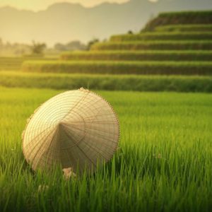 eSIM Vietnam con datos ilimitados